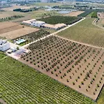 Le Scuderie 11 公寓 加拉托内